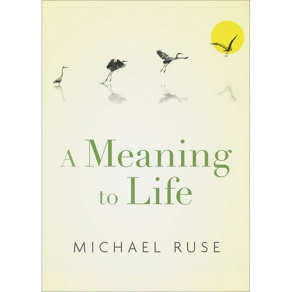 Philosophy in Action A Meaning to Life, (Hardcover)