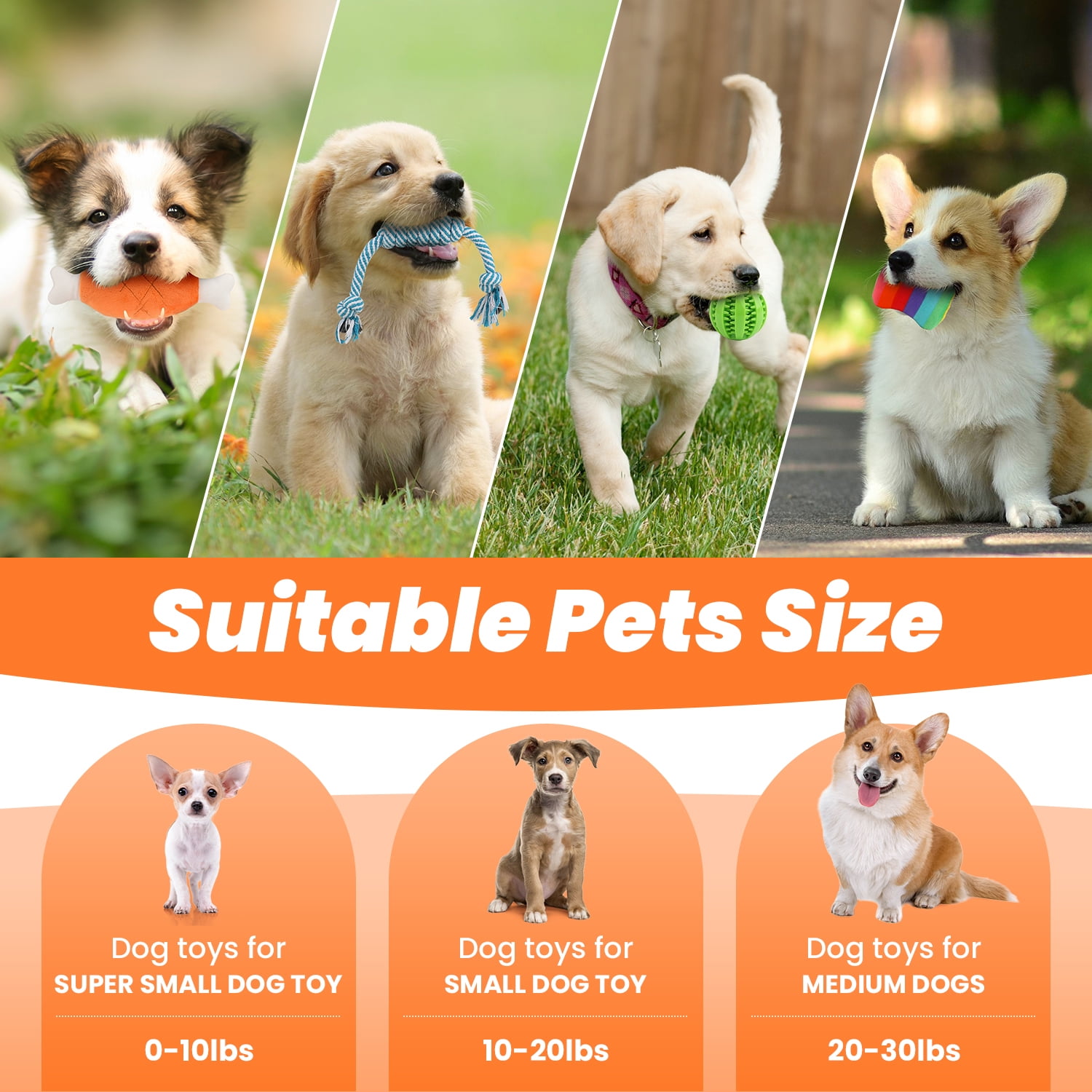 MASBRILL Dog Toys for Small Dogs ,10 Pack Puppy Chew Toys for Teething and Training with Plush Squeaky Toys, Treat Ball and Rope Toys to Keep Them Busy