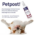 thumbnail image 2 of Petpost | Waterless Argan Shampoo Spray for Dogs with Sensitive Skin - Naturally Nourishing Coat Cleaner & Deodorizer for Healthier, Shinier Fur - Rinse Free Formula, 2 of 6