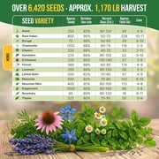 Organo Republic - 15 Medicinal & Tea Herb Seeds Varieties - 6,420+ Non GMO Heirloom Garden Seeds