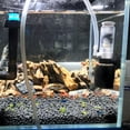 thumbnail image 3 of Silent Mini Water Pneumatic Filter for Fish Bowl Aquarium, 3 of 8