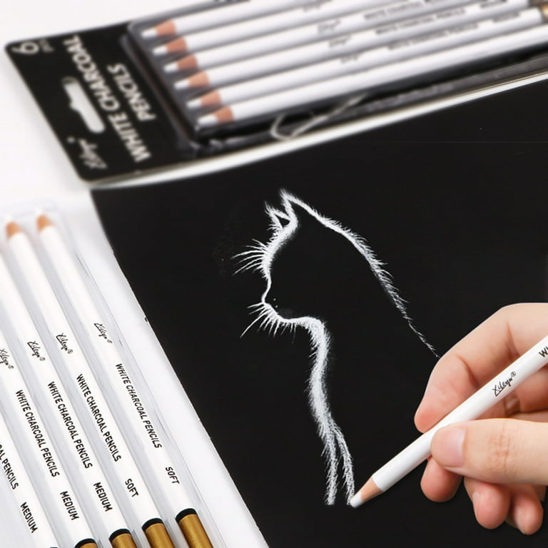 6 Pcs White Chalk Pencils Highlight Rubber Pencil Artists Pencil Shading  Pencils