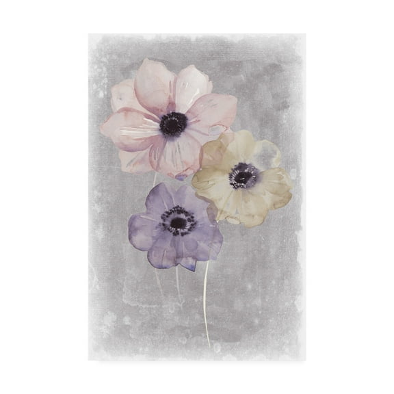 Trademark Fine Art 'Floral Waltz II' Canvas Art by Grace Popp