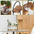 thumbnail image 2 of Plant Propagation Station with Wooden Stand,Plant Terrarium Desktop Stations,Air Planter Bulb Glass Vase, 2 of 6