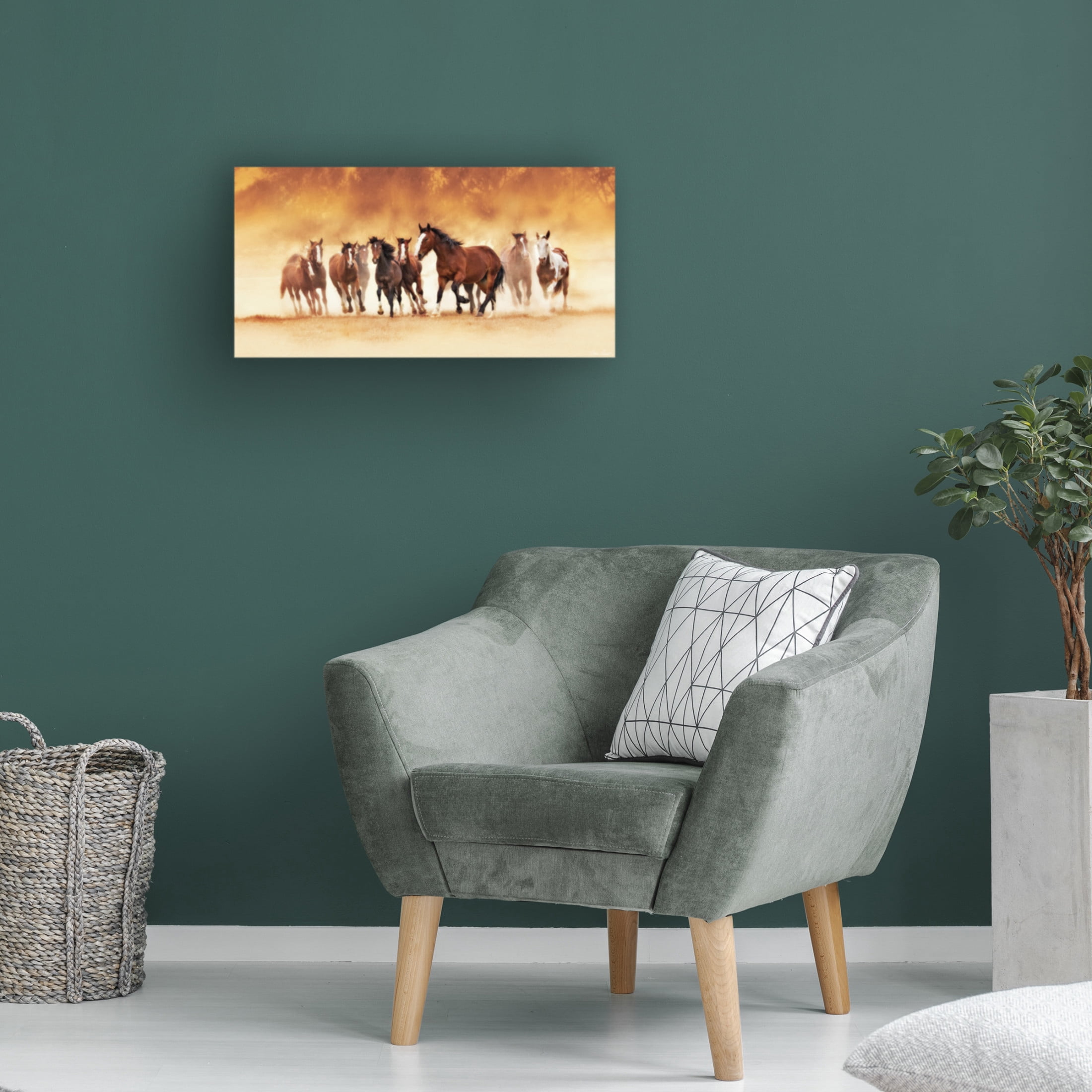 Trademark Fine Art David Drost  Running Wild Canvas Wall Art