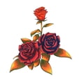 thumbnail image 5 of Marcadores de Alcohol Copic Ciao 6 Colores Doble Punta de Pincel para Adultos, 5 of 5