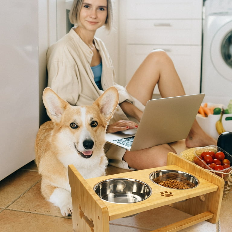 Abody Elevated Dog Bowls with Stand for Medium and Large Dogs