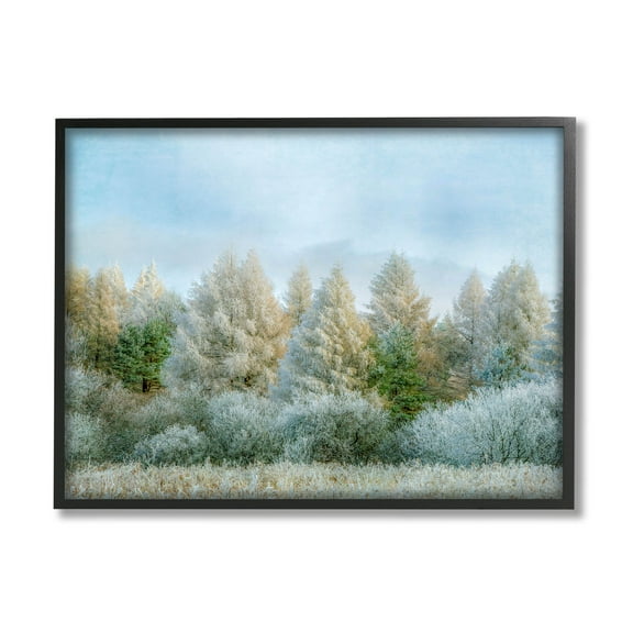 Woodland Grove Forest Trees Landscape Photograph Black Framed Art Print Wall Art