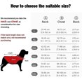thumbnail image 1 of Chaqueta impermeable ShuxiuWang para Perros medianos y grandes Red-l, 1 of 1
