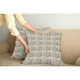 thumbnail image 3 of Ambesonne Music Throw Pillow Cover 2 Pack, String Quartet Violins, 18", Reseda Green Warm Taupe, 3 of 6