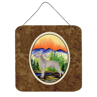 Carolines Treasures SS8267DS66 Weimaraner Aluminum Metal Wall or Door Hanging Prints, 6 x 6", Multicolor