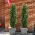 thumbnail image 3 of Poetree 2 Pack Artificial Tree 5 FT Artificial Cedar Topiary Trees for Outdoors Potted Fake Pine Trees Faux Evergreen Plants for Home Porch Decor, 3 of 12