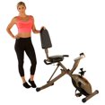 thumbnail image 1 of Exerpeutic 525XLR Folding Maximum Capacity Gold Recumbent Exercise Bike, 1 of 8