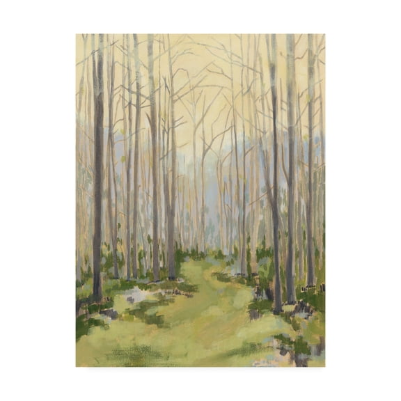 Trademark Fine Art 'Delicate Forest I' Canvas Art by Megan Meagher