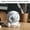 White Deals 18, variant on Clearance Usloyux Cordless Compact Speaker Prime Day Deals, Astronaut Bedside Lamp Wireless Bluetooth Speaker, Color Led Music Player For Room Decoration, Pink