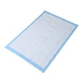 thumbnail image 6 of NICEXMAS 20Pcs Pet Training Pad Super Absorbent for Indoor Dog Cleaning, 6 of 8