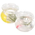thumbnail image 4 of 2pcs Miniature Fish Bowl Doll House Fish Tank Miniature Fancy Carp Bowls Random Style, 4 of 8