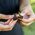 thumbnail image 4 of No Sugar Keto Bomb Chocolate Peanut Butter, 4 of 7