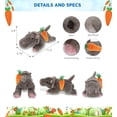 thumbnail image 3 of DolliBu Happy Easter Super Soft Plush Hippo with Carrot - Cute Stuffed Animals with Carrot Plush Toy, Perfect Easter Gift with Name Personalization, Spring Easter Plush Animal - 11 Inches, 3 of 6