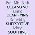 thumbnail image 4 of Plant Therapy Balm Mint Bush Essential Oil 10 mL (1/3 oz) 100% Pure, Undiluted, Natural Aromatherapy, 4 of 8