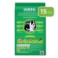 IAMS Adult Minichunks Small Kibble High Protein Dry Dog Food with Real