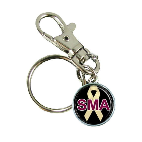 Spinal Muscular Atrophy Awareness Keychain Support Silver Plated Jewelry Key Chain