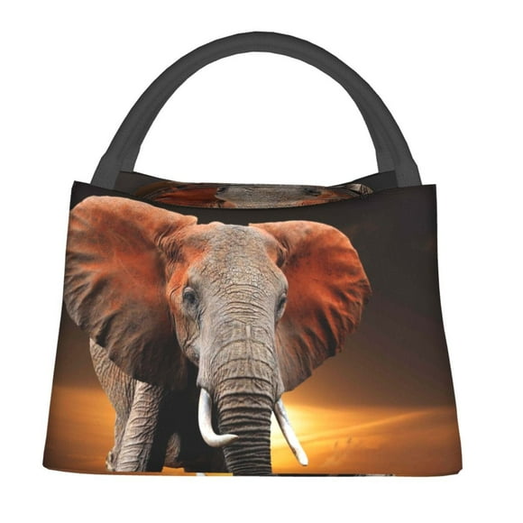 Fotbe Elephant Sunset in Kenya Bolsa Térmica Portátil con Estampado, Bolsa de Entrega de Alimentos Aislada, Bolsa Reutilizable de Gran Capacidad para Comidas y Supermercado