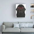 thumbnail image 2 of Furbaby Affiliates 'Newfoundland Wearing Hipster Glasses' Canvas Art, 2 of 4
