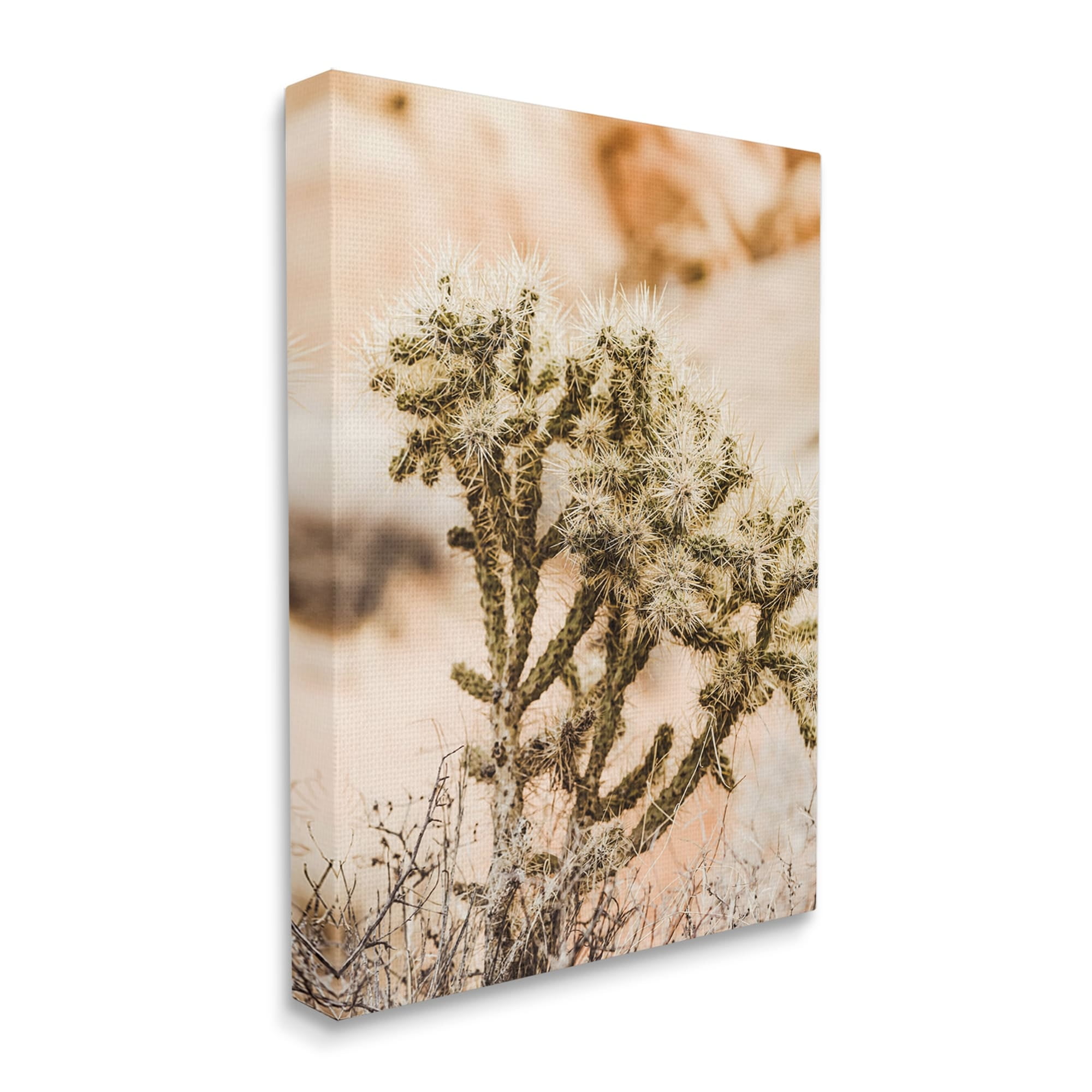 Stupell Arid Cactus Desert Plant Photography Landscape Photography Gallery Wrapped Canvas Print Wall Art