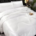 thumbnail image 2 of NTBED Silky Satin Comforter Set Queen White Luxury Wave Quilted Bedding Set, 2 of 5
