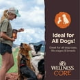 thumbnail image 5 of Wellness CORE Tiny Trainers Tender Treats, Grain Free, Turkey & Pomegranate, 6 Ounce Bag, 5 of 10