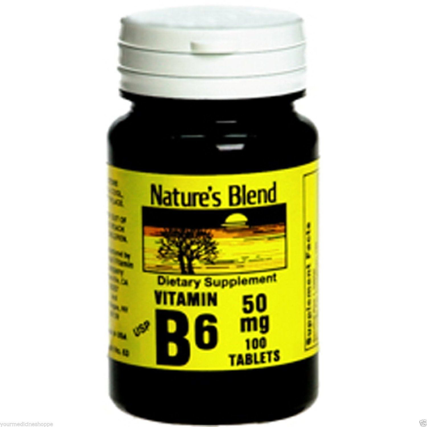 Nature's Blend Vitamin B-6 Tablets, 50 mg, 100 Count