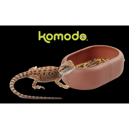 Komodo Smart Mealworm Reptile Feeding Dish for Aquarium or Reptile Tank, Brown, Thermoplastic