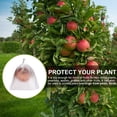 thumbnail image 2 of 100Pcs Fruit Vegetable Grape Protection Bags Grapes Against ct Pouch Bag, 2 of 6