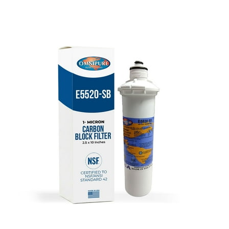 Omnipure E5520-SB Carbon Block Filter 1 Micron 2.5" x 10"