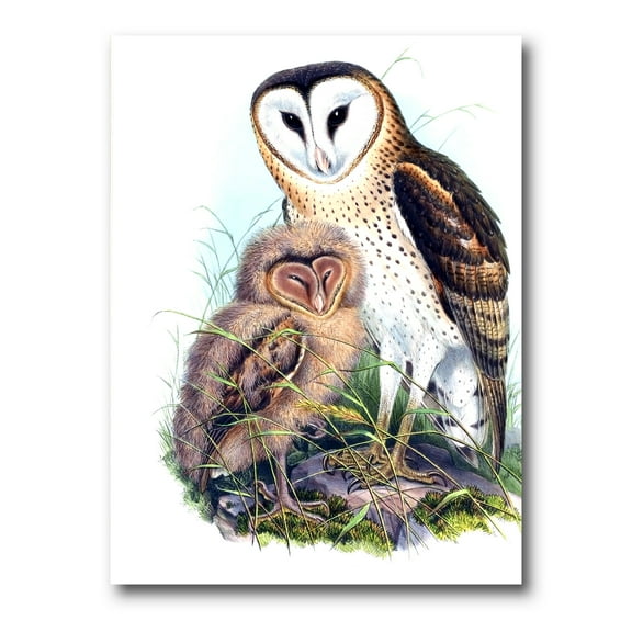Designart ' Ancient Birds I ' Traditional Canvas Wall Art Print