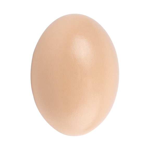 Wooden Easter Eggs for Decorating and Crafts, Fake Solid Eggs for Chicken Coops, Painting, and Holiday Decor, 1-Pack