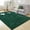Emerald Green, variant on Burgundy Soft Area Rugs for Living Room Bedroom, 3x5 Non-Slip Fluffy Shag Carpet, Indoor Floor Fuzzy Shaggy Living Room Plush Rug for Kids Dorm Nursery Home Decor Aesthetic