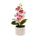 thumbnail image 2 of Bonsái Phalaenopsis Artificial | Arreglo floral de seda | Planta en maceta de plástico realista Rose Red | Ramas flexibles y moldeables | Centro de mesa para bodas de oficina en casa sin, 2 of 6