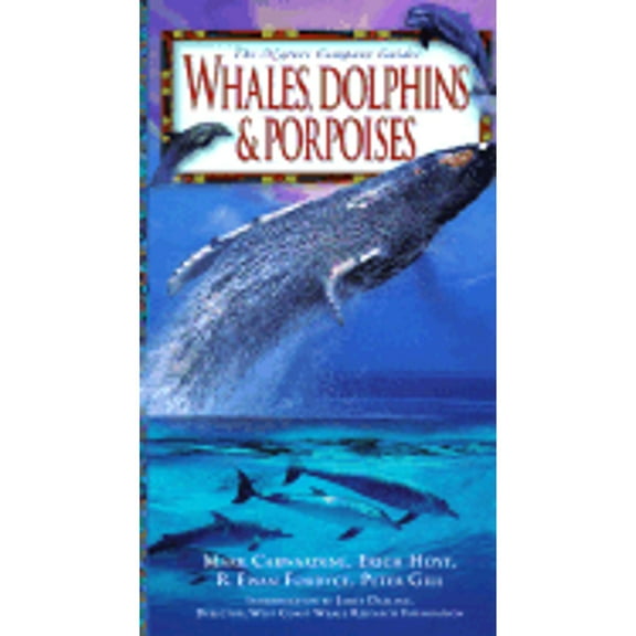 Whales, Dolphins & Porpoises