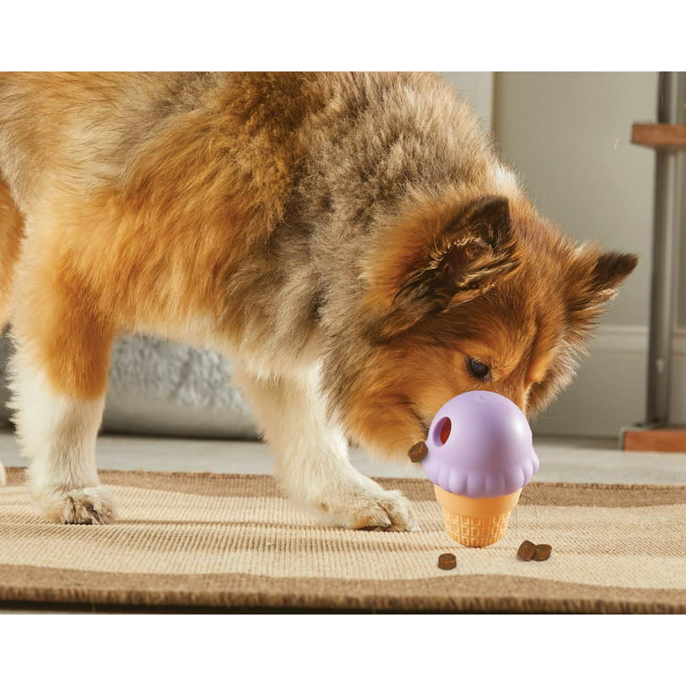 Brightkins Small Ice Cream Treat Dispenser Dog Toy