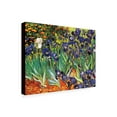 thumbnail image 3 of Trademark Fine Art Vincent van Gogh Irises at Saint-Remy Canvas Wall Art - 18x24, 3 of 5