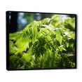thumbnail image 2 of Designart "Dappled Sunlight Ferns Plant painting" Floral Floater Framed Canvas Print, 2 of 7