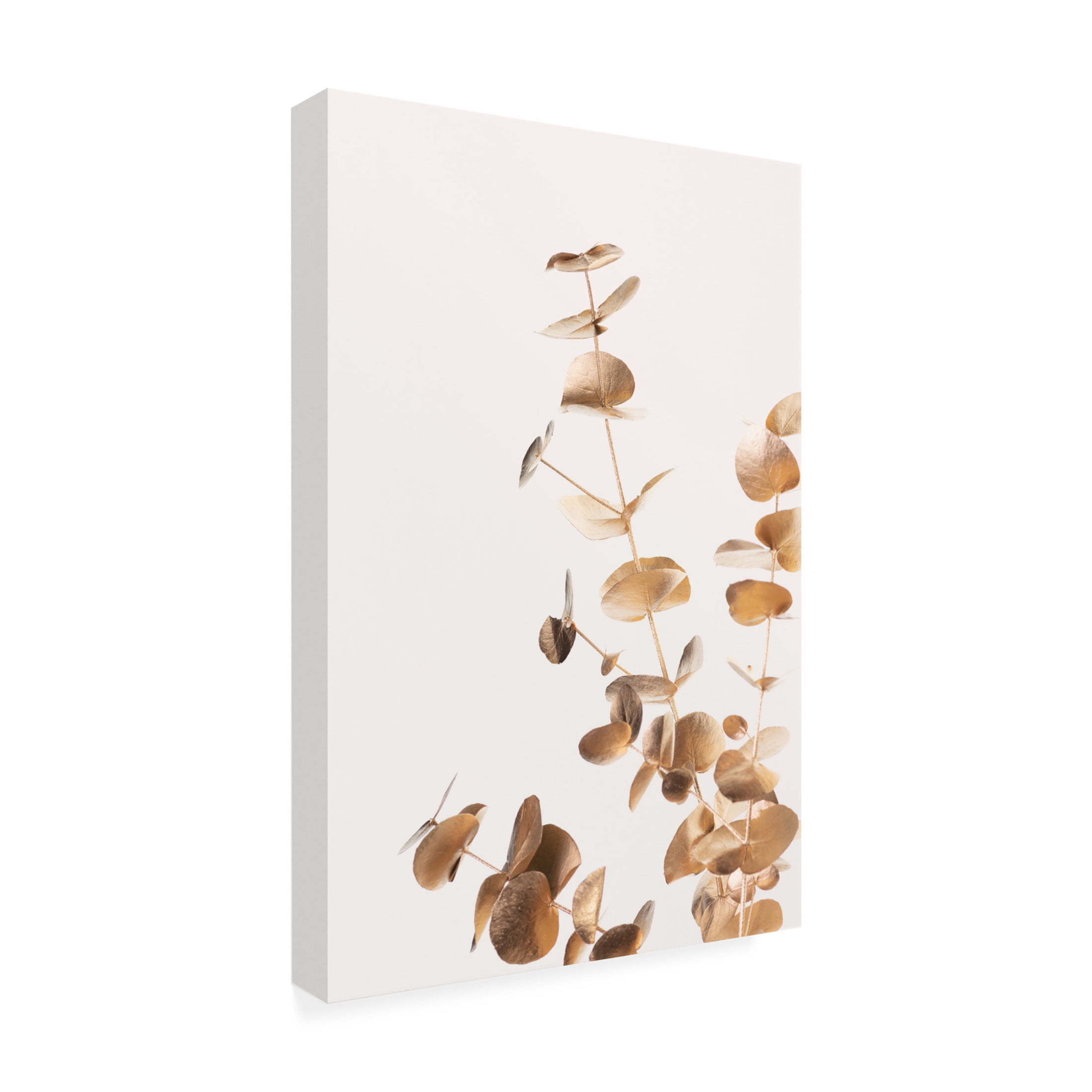 Canvas Wall Art - Pictufy Studio Iii 'Eucalyptus Gold No 05' Wall Art for Living Room, Bedroom, or Office D?cor by Trademark Fine Art - 22 x 32 Inches