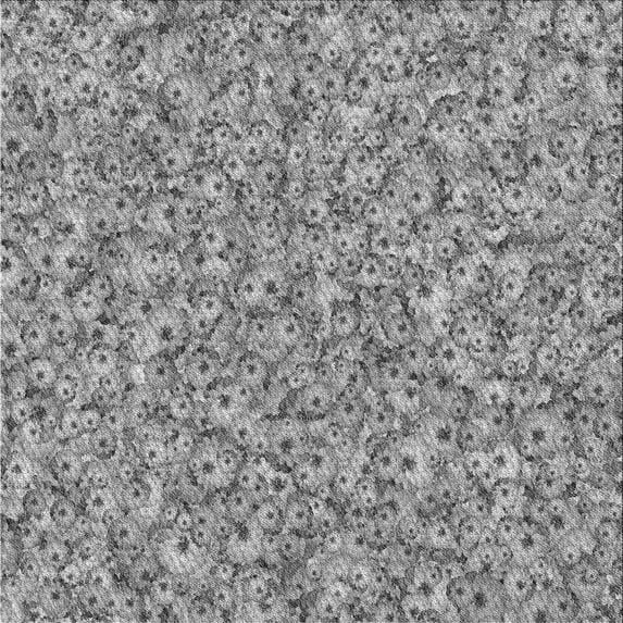 Ahgly Company Machine Washable Indoor Square Transitional Gray Cloud Gray Area Rugs, 4' Square