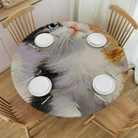 

Patifu Cute Cat Round Table Cover Stain Resistant and Washable Polyester Tablecloth for Indoor Outdoor Kitchen Dining Wedding Parties Mother s Day Picnic Camping Various Sizes Available 42 -46