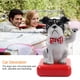 thumbnail image 4 of Decoración solar para perros BuyWeekMX columpio con energía solar 6*7*10,5 cm, 4 of 9