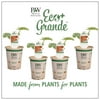 4-Pack, 4.25 in. Eco+Grande, Black Beauty Zucchini, Live Vegetable Plant