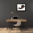 thumbnail image 3 of Stolk, Reijer 24x20 Black Modern Framed Museum Art Print Titled - Ceremonial Dance Horse II 1942, 3 of 4