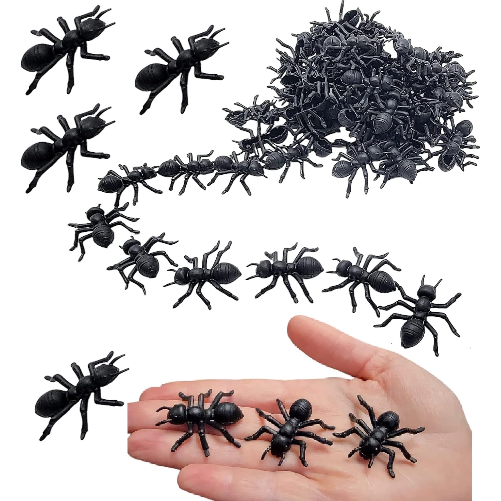 1.5" Black Carpenter Ant Toys (72 Pack) Plastic. Realistic Looking Ants. Prank, Props, Cake, Cupcake Decor and More!